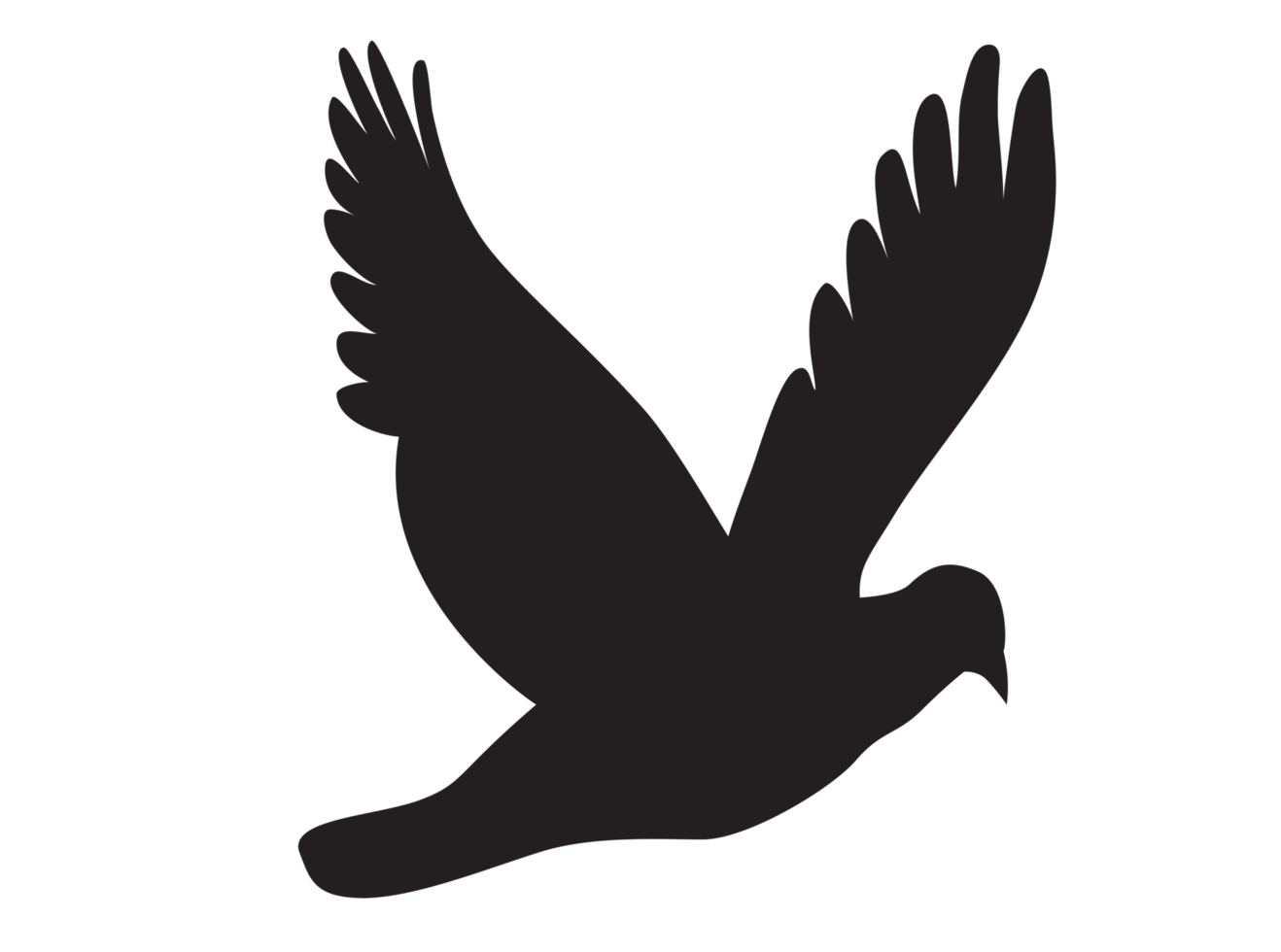 Dove - Pigeon- Bird icon Illustrations on transparent PNG Background