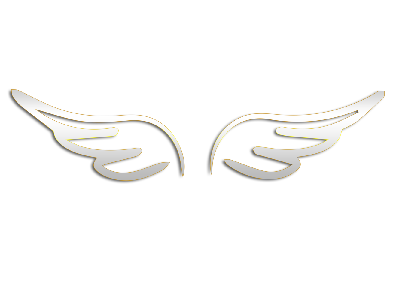 angel wings transparent png