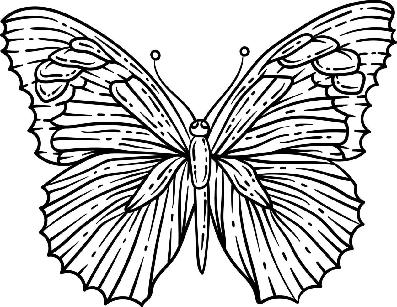 Butterfly Spring Coloring Page for Adults vector