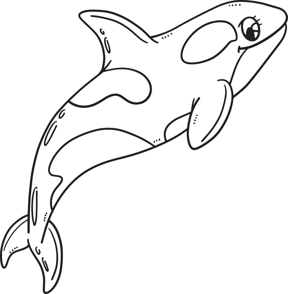 Mother Killer Whale Isolated Coloring Page vector