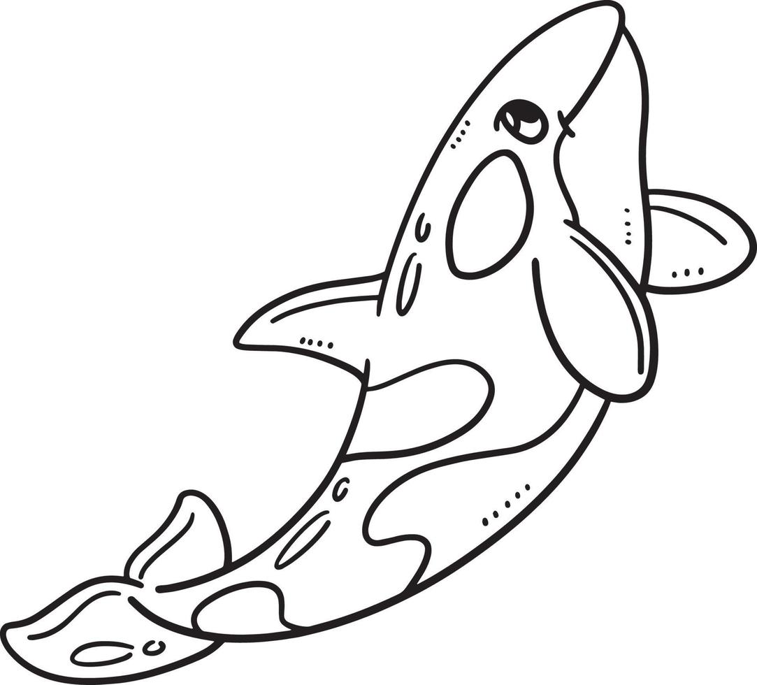 Mother Killer Whale Isolated Coloring Page vector