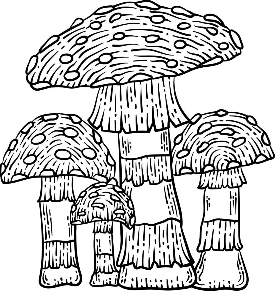 Mushroom Spring Coloring Page for Adults vector