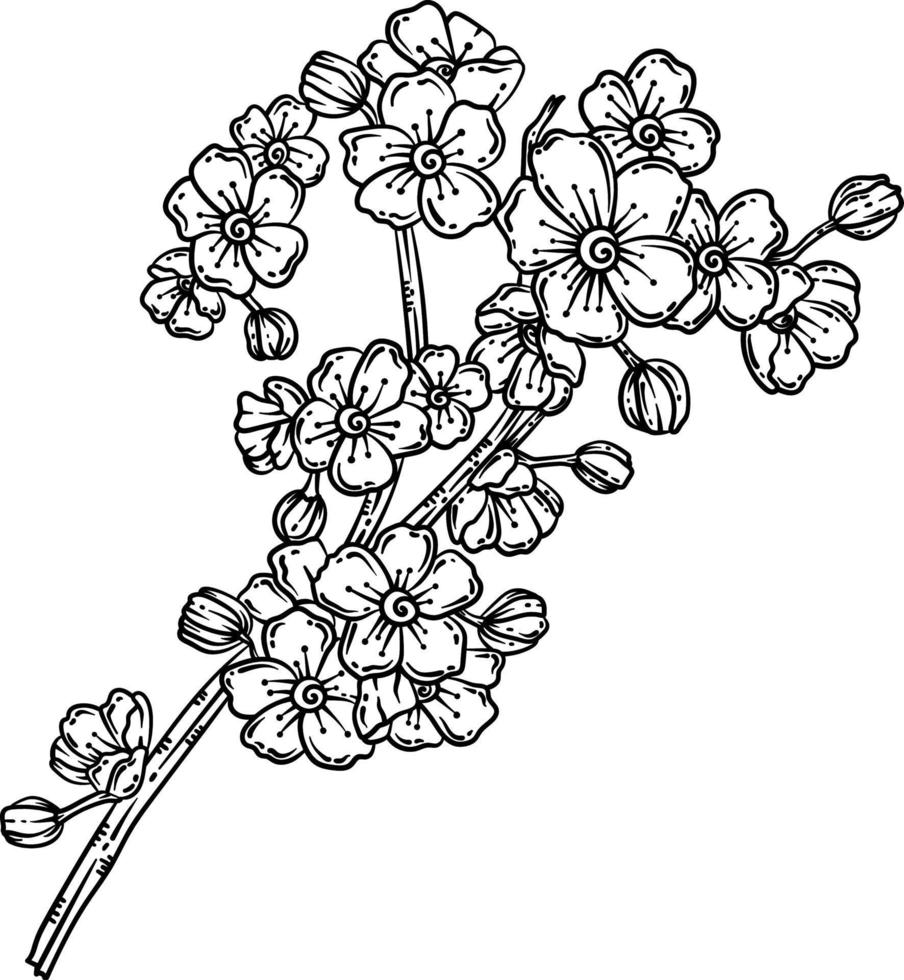 página para colorear de primavera de flores de cerezo para adultos 17197910  Vector en Vecteezy