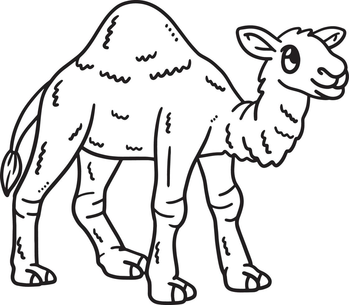 Baby Dromedary Isolated Coloring Page for Kids vector