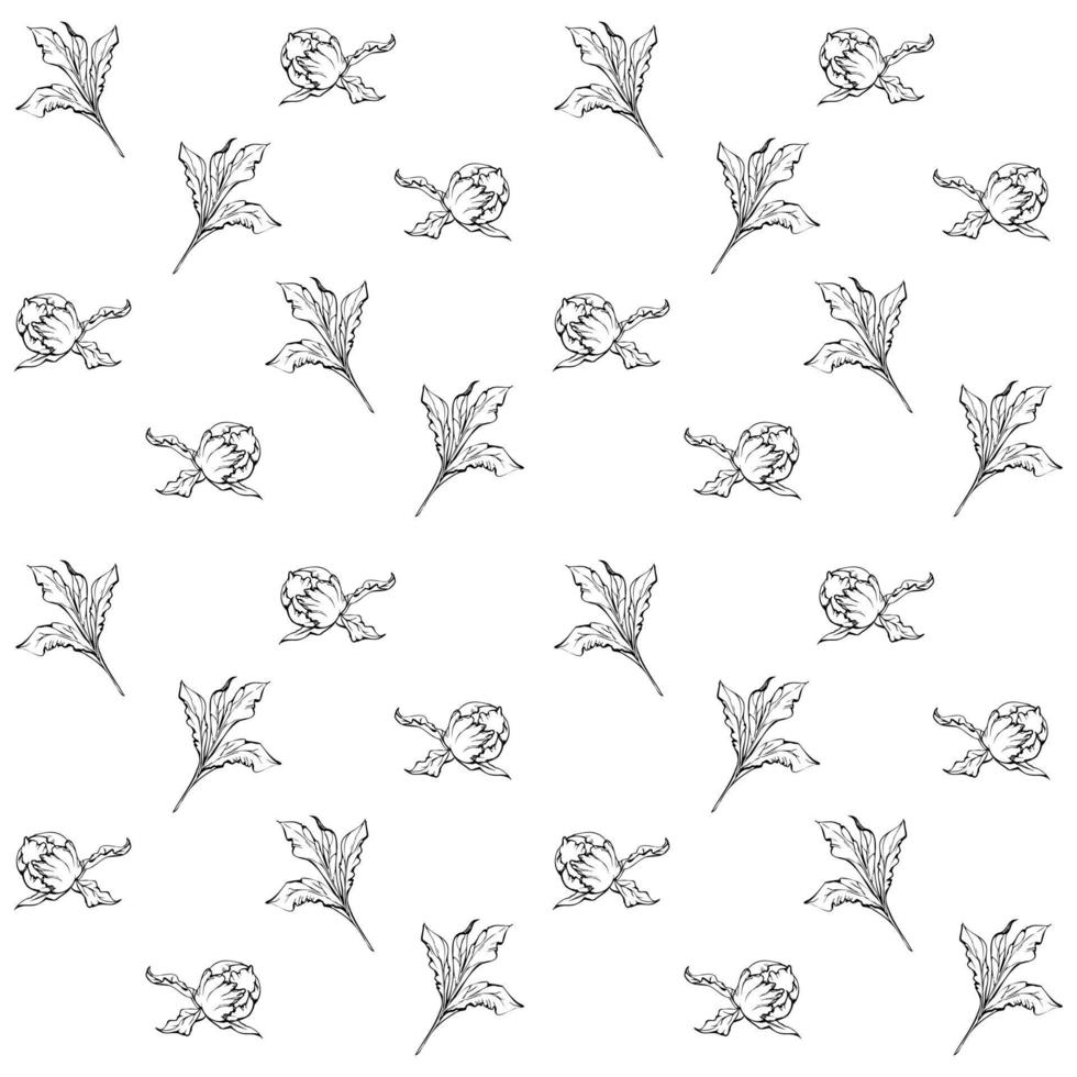 Hand drawn vector seamless pattern with peony flowers, buds and leaves. Isolated on white background. Design for invitations, wedding or greeting cards, wallpaper, print, textile, wrapping paper