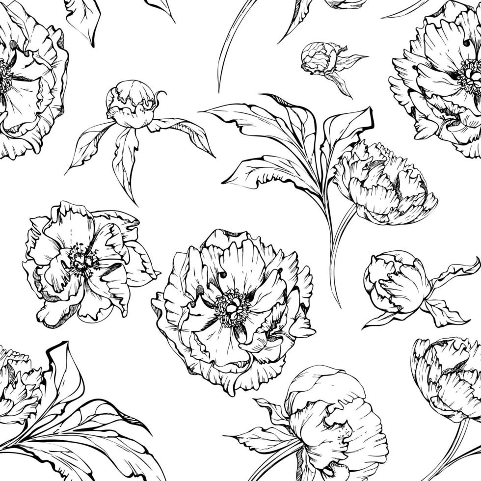 Hand drawn vector seamless pattern with peony flowers, buds and leaves. Isolated on white background. Design for invitations, wedding or greeting cards, wallpaper, print, textile, wrapping paper