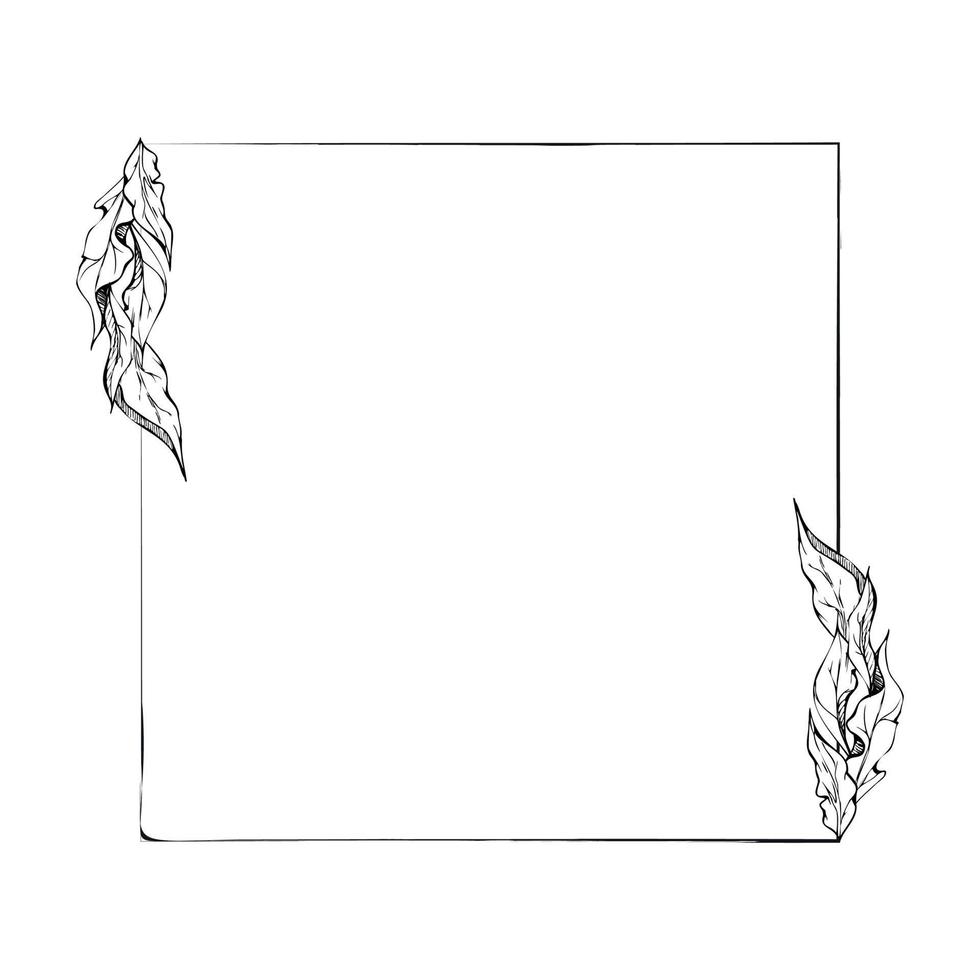 Arreglo de corona de marco cuadrado vectorial dibujado a mano con flores de peonía, brotes y hojas. aislado sobre fondo blanco. diseño para invitaciones, bodas o tarjetas de felicitación, papel pintado, estampado, textil vector