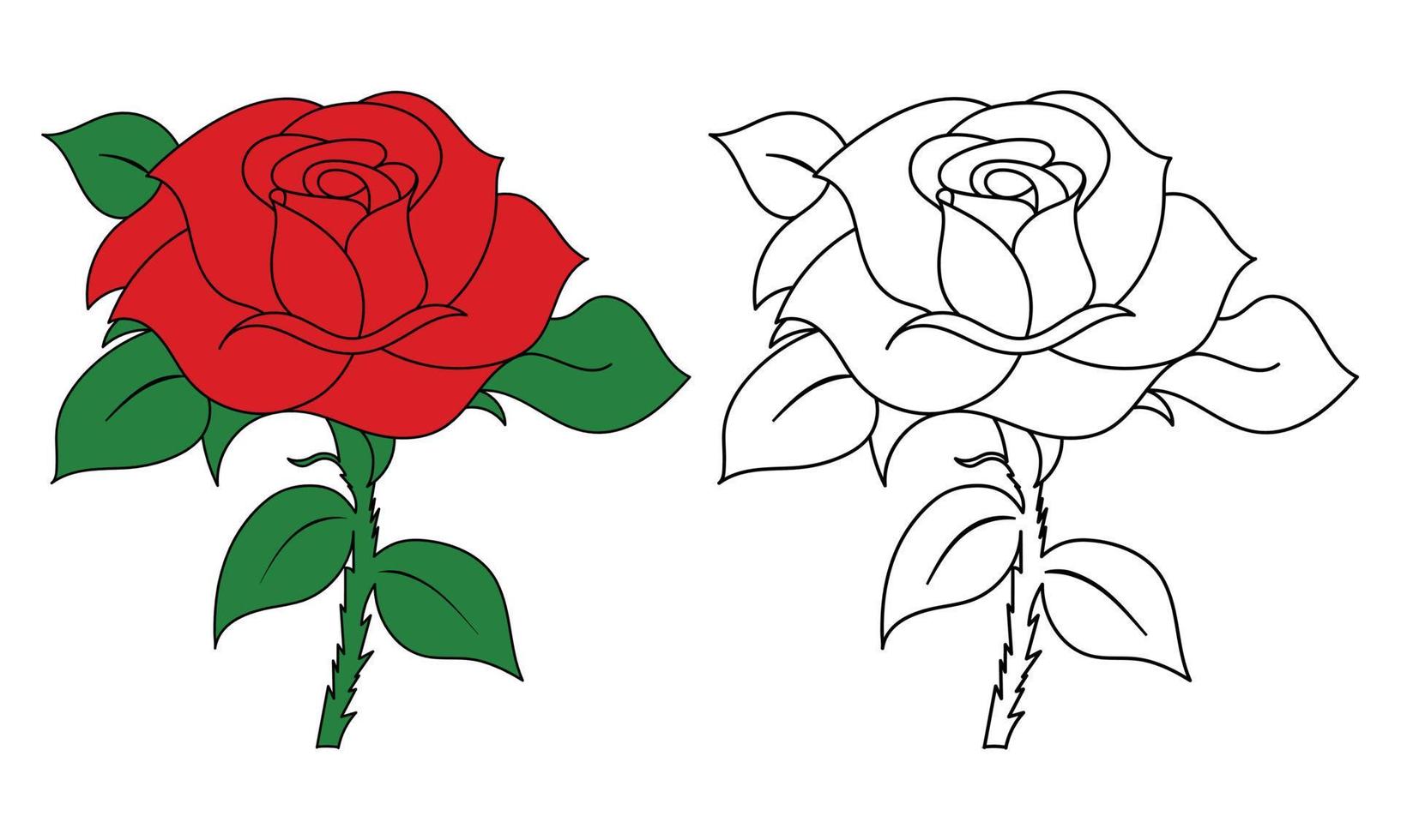 Rose flower coloring pages, hand drawn outlined rose flower vector illustration with line art for coloring page for kids