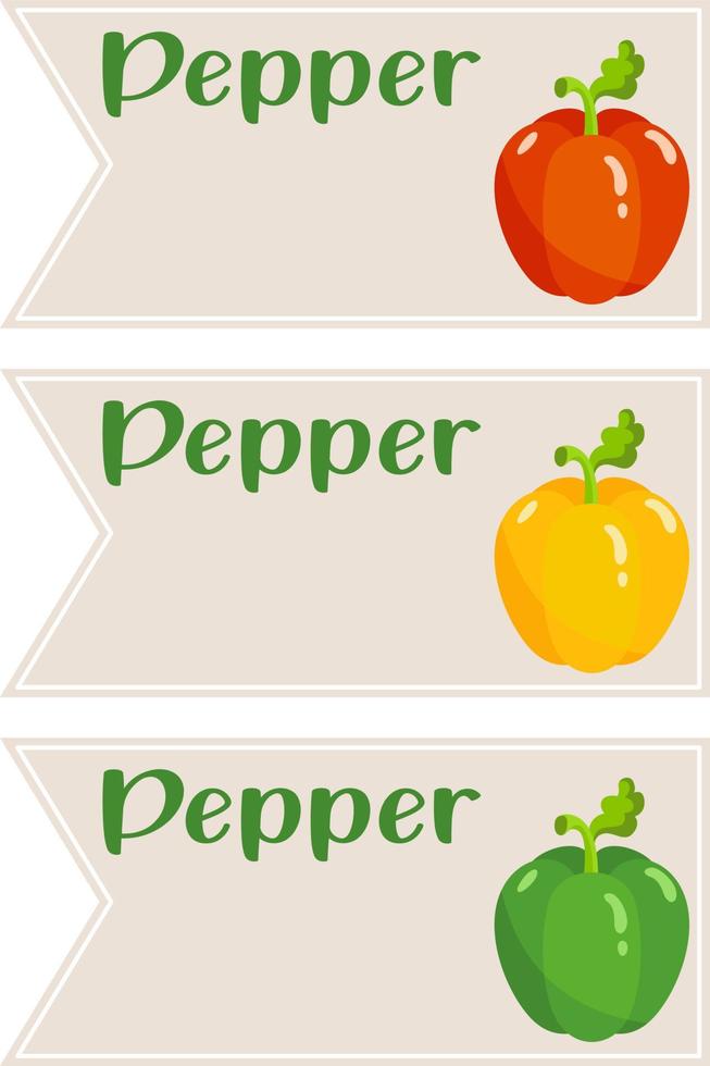 Set of three pepper blank label sticker vector