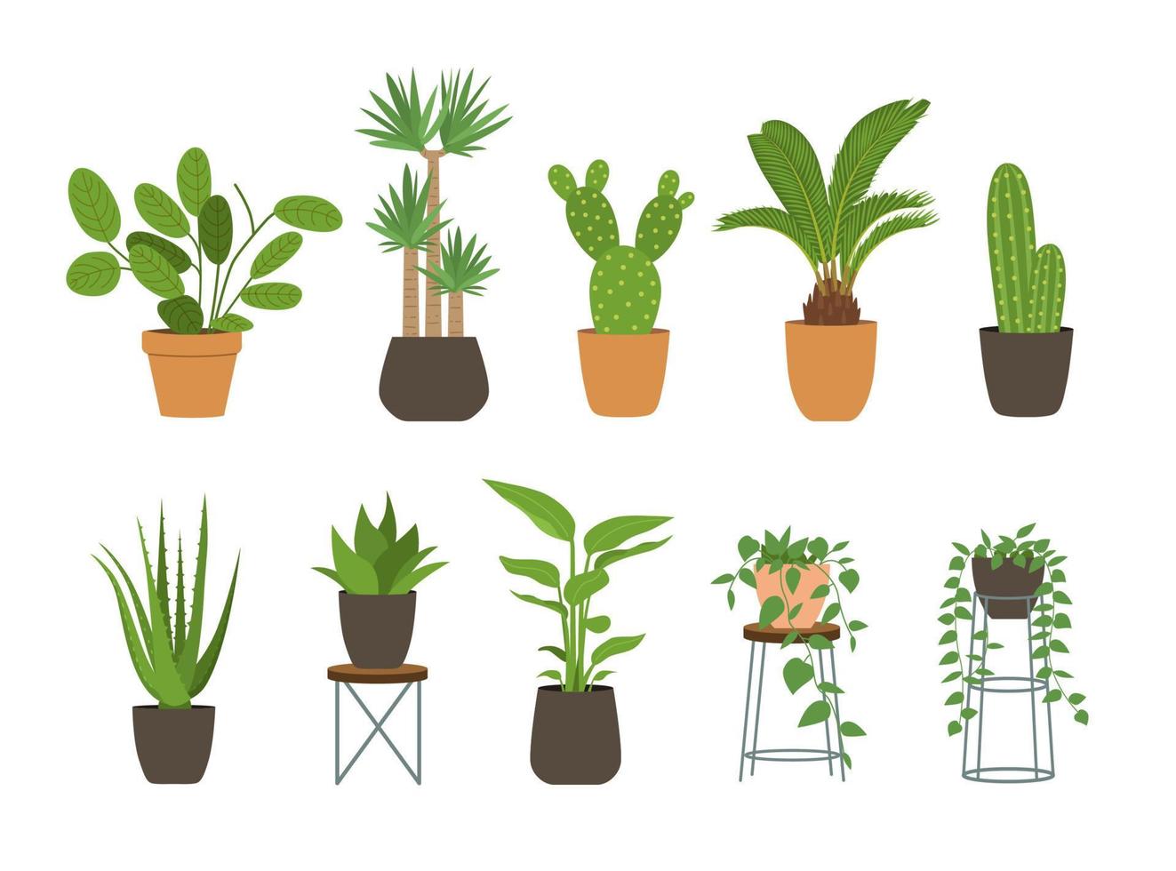 Indoor garden potted plants. Houseplants for interior home decoration, green plant in flowerpot vector