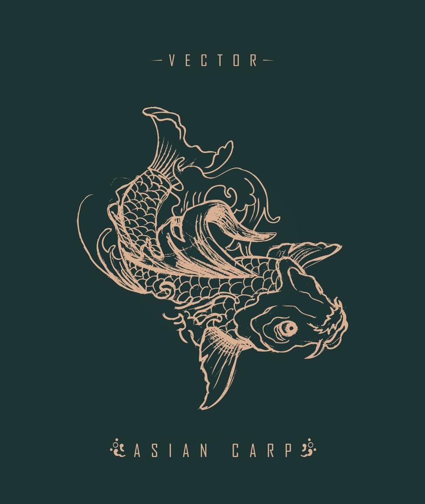 Asian carp culture art style vector