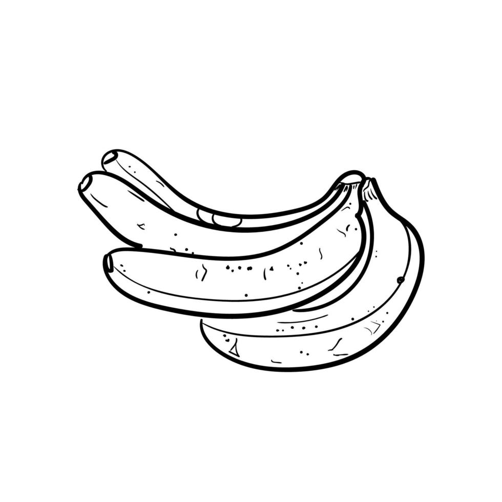 bananas black outline drawing silhouette hand drawn isolated on white background vector