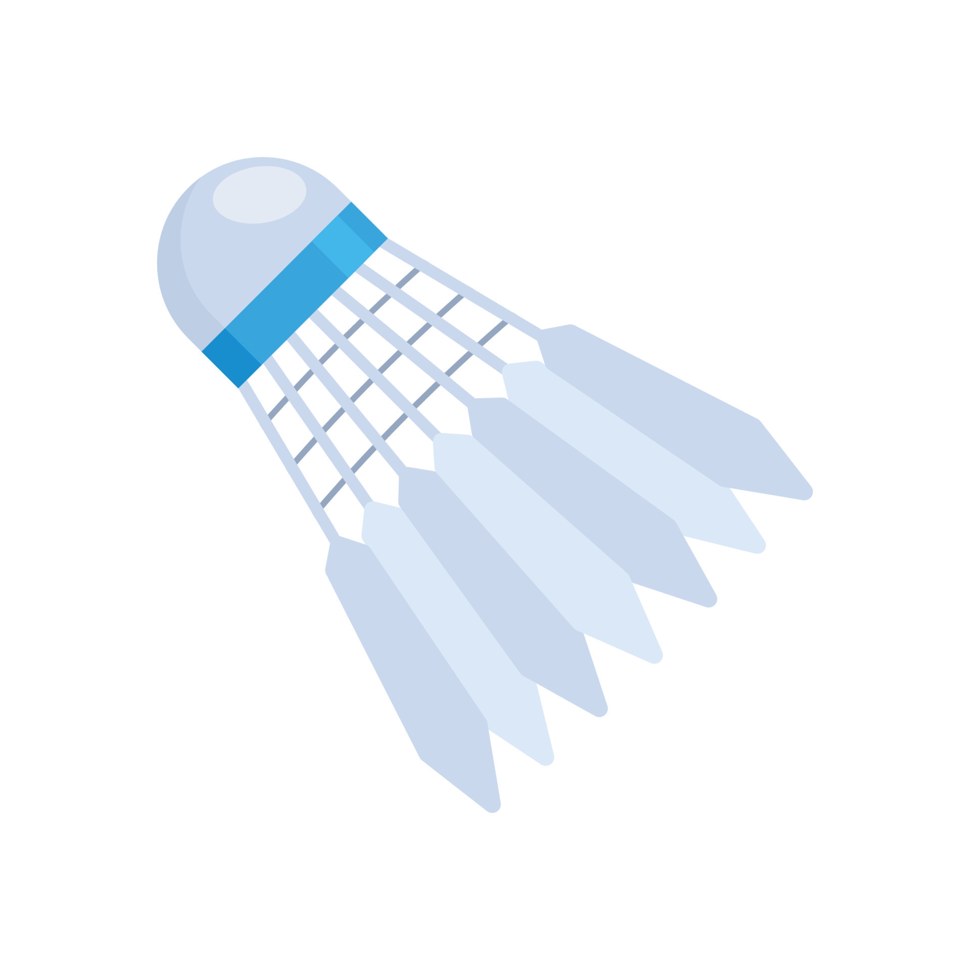 Shuttlecock. Badminton shuttlecock. Macro of a feather shuttlecock