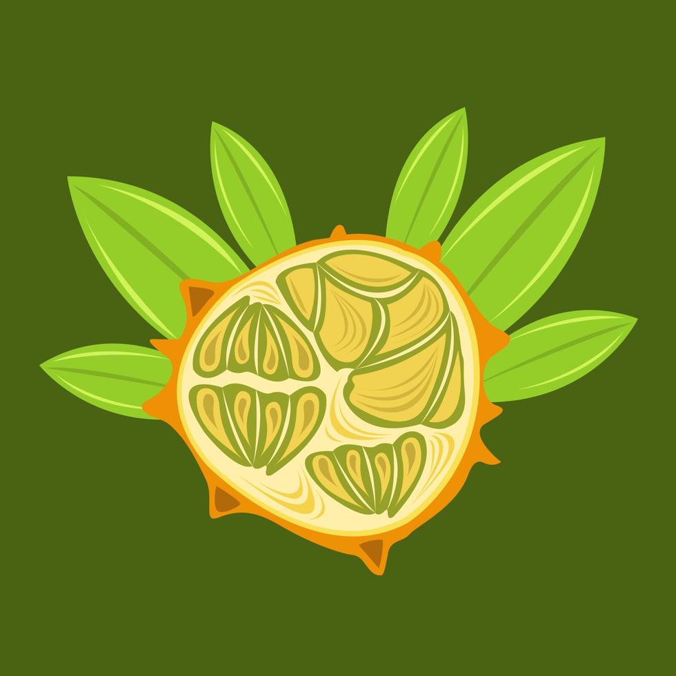 Kiwano vector illustration for graphic design and decorative element