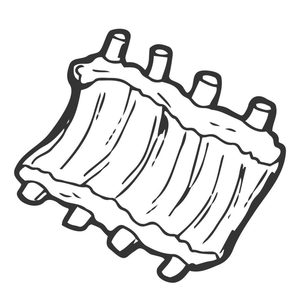 Tasty pork bone meat barbecued ribs food sketch drawing. Vintage line style illustration. For picnic grilled meat party, restaurant and cafe design vector