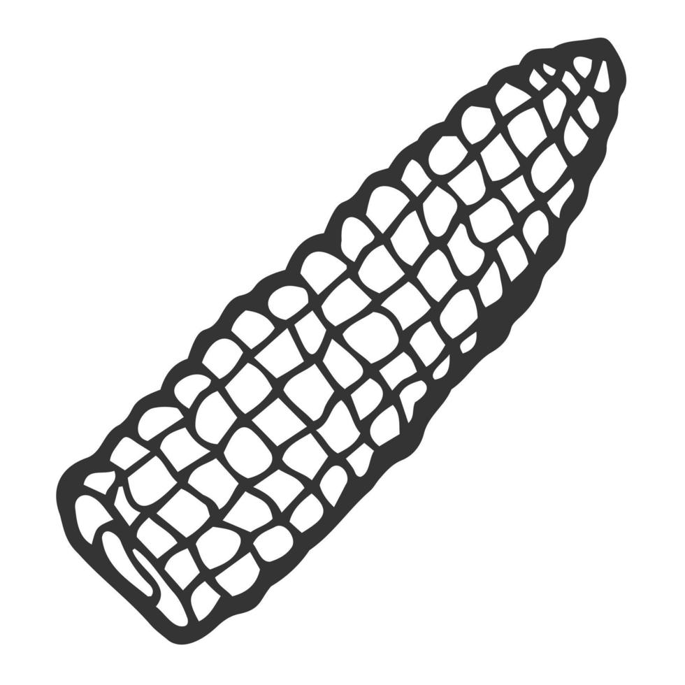 Vector hand drawn popcorn corn cob outline doodle icon. Food sketch illustration for print, web, mobile and infographics isolated on white background.