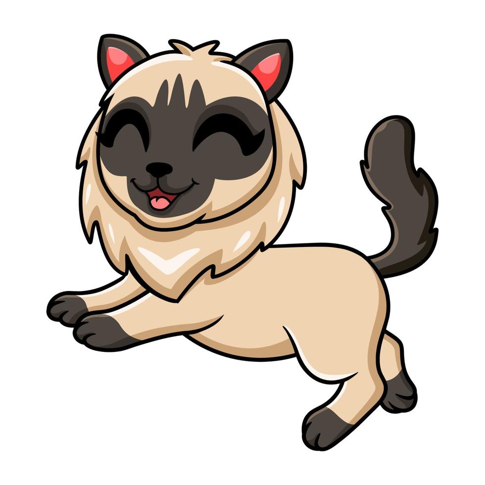 Cute balinese cat cartoon posing vector