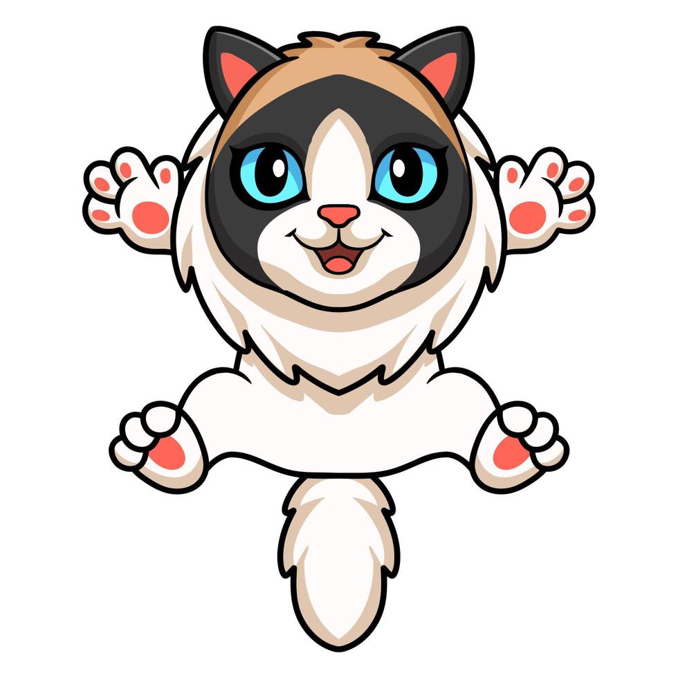 Cute rag doll cat cartoon vector