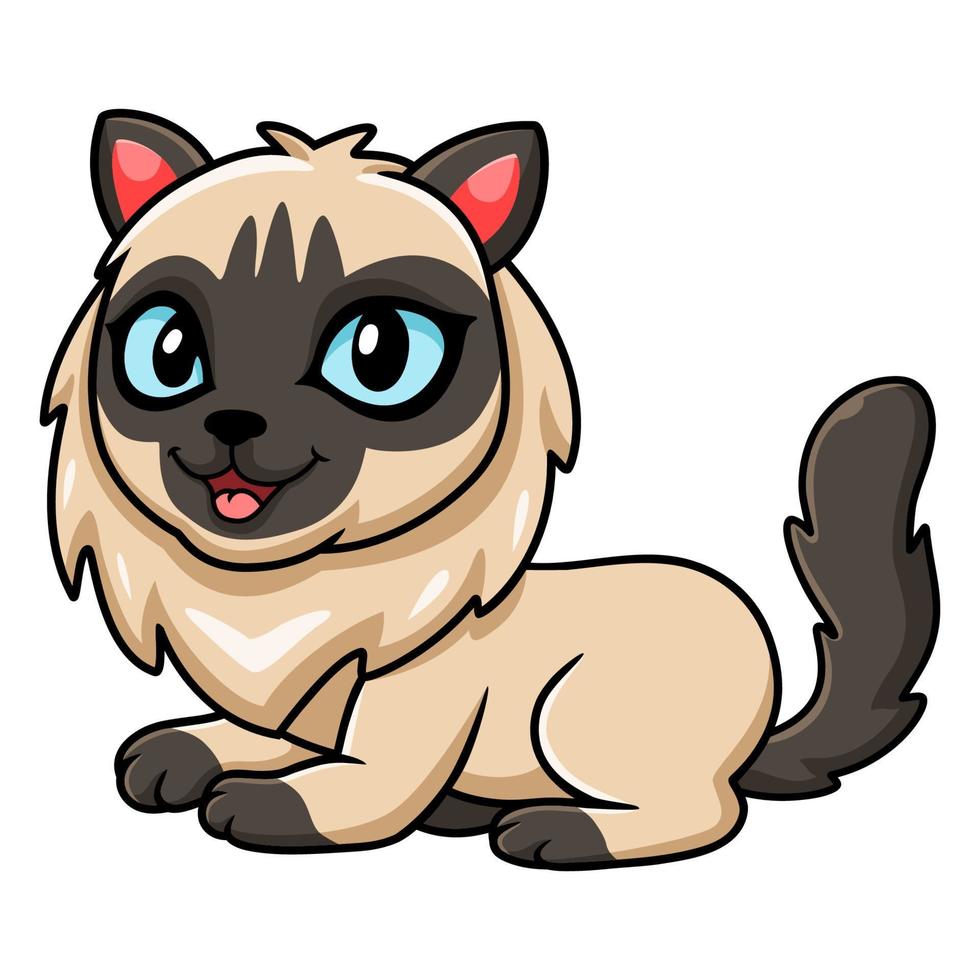 Cute balinese cat cartoon sitting vector