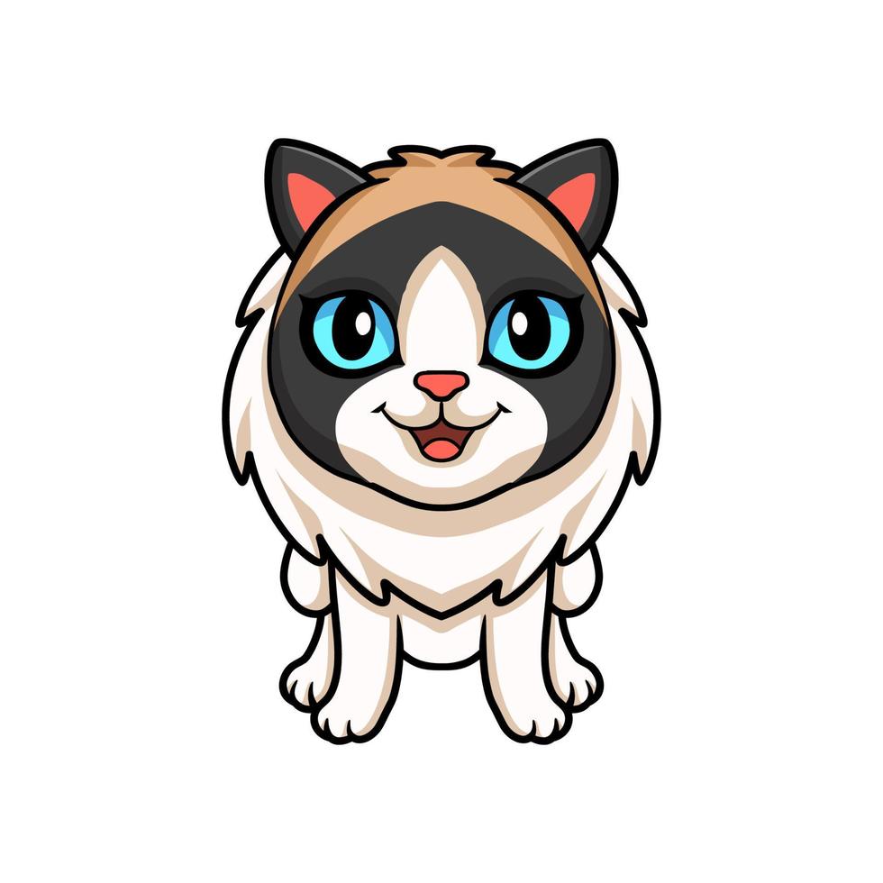 Cute rag doll cat cartoon vector