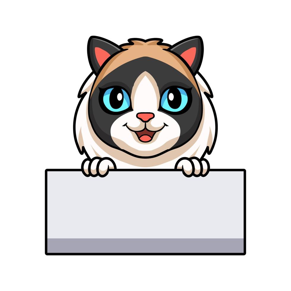 Cute rag doll cat cartoon holding blank sign vector