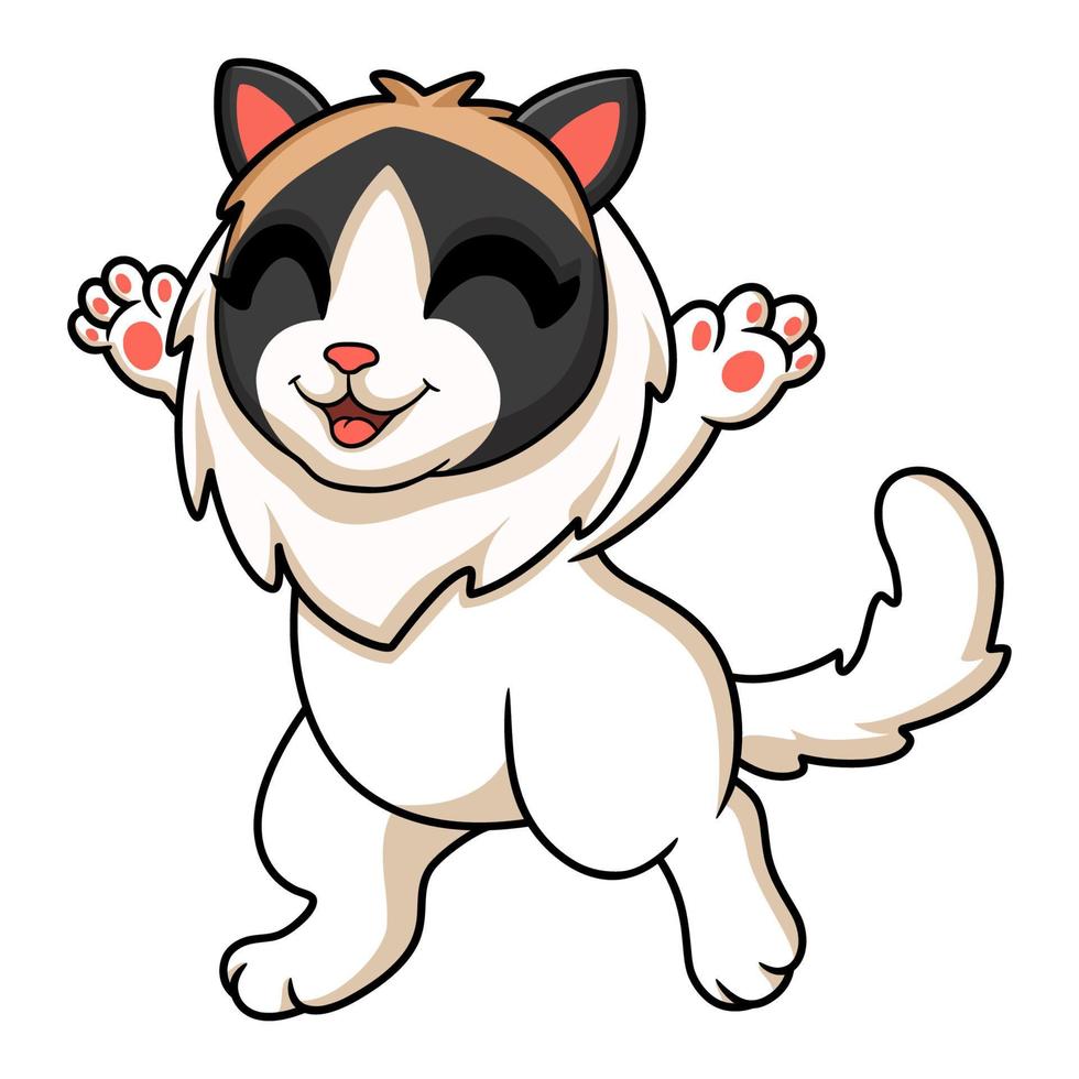 Cute rag doll cat cartoon vector