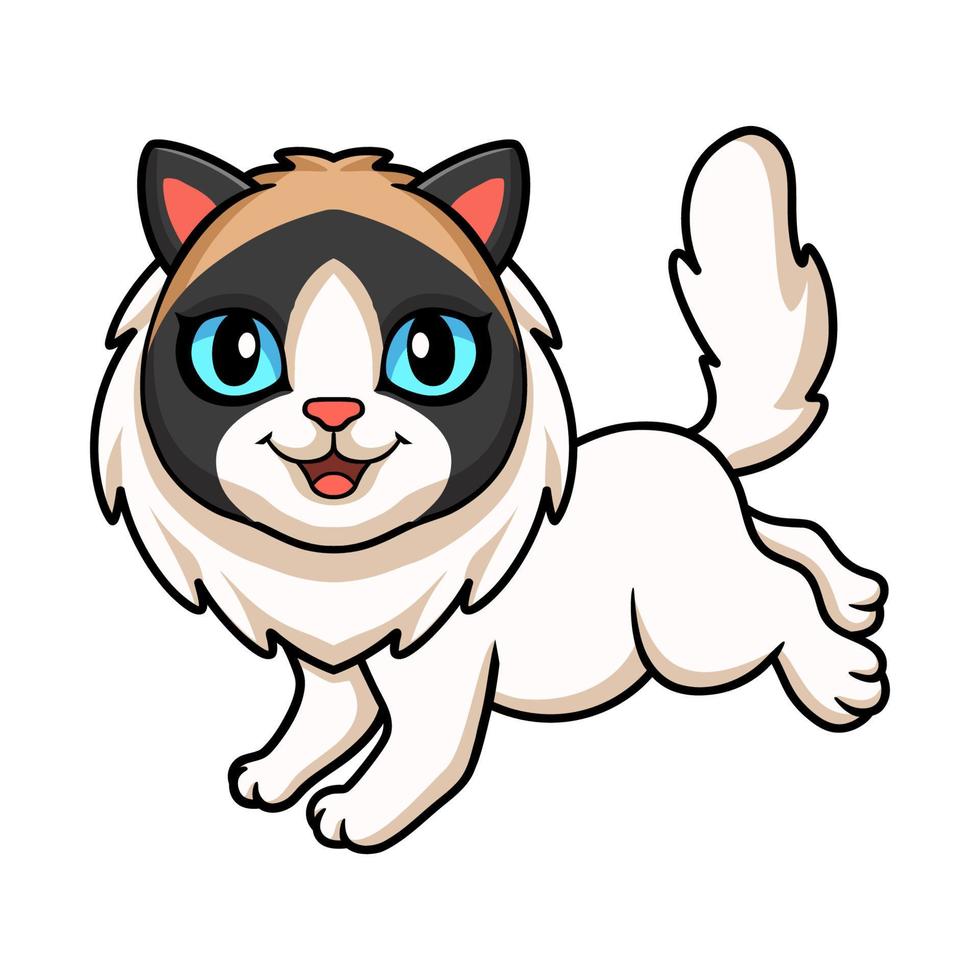 Cute rag doll cat cartoon vector