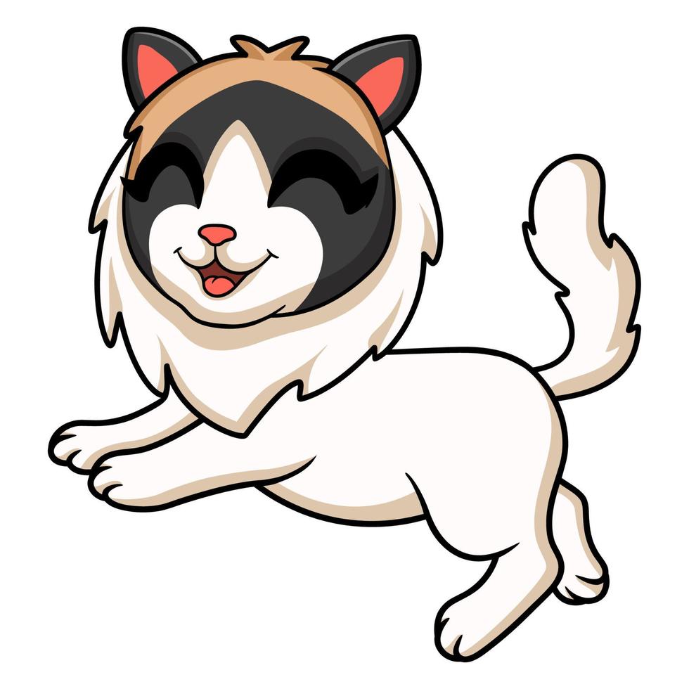 Cute rag doll cat cartoon vector