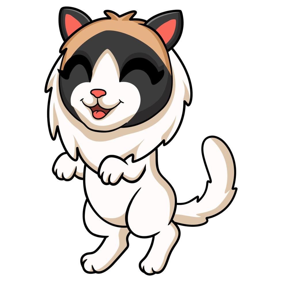 Cute rag doll cat cartoon vector