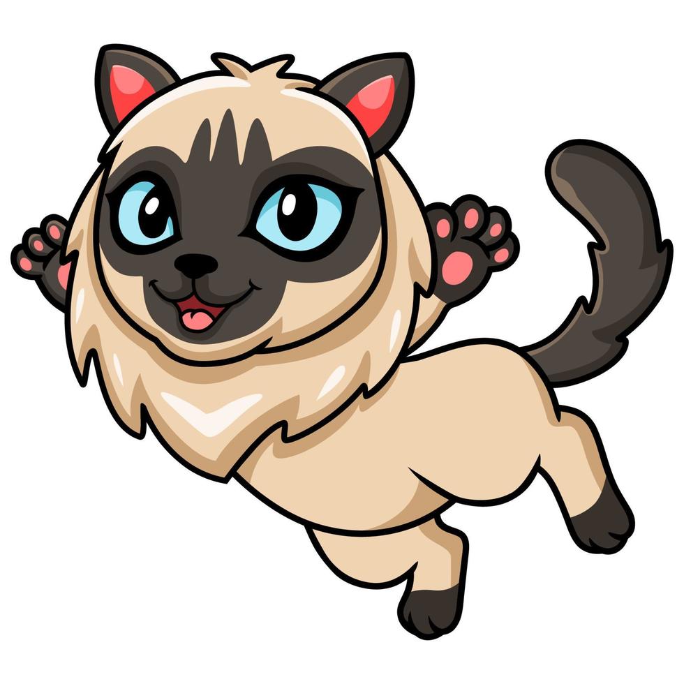 Cute balinese cat cartoon posing vector