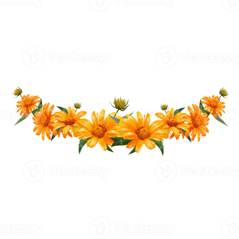 chrysanthemum flower arrangement illustration png