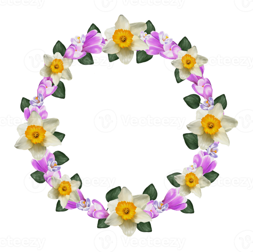 wreath of crocus flowers, daffodils, saffron png