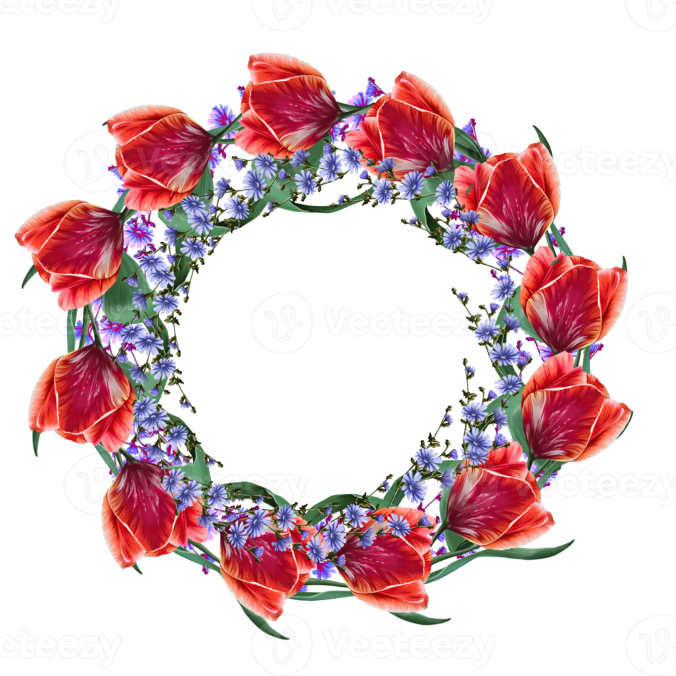 red tulip and chicory frame illustration png