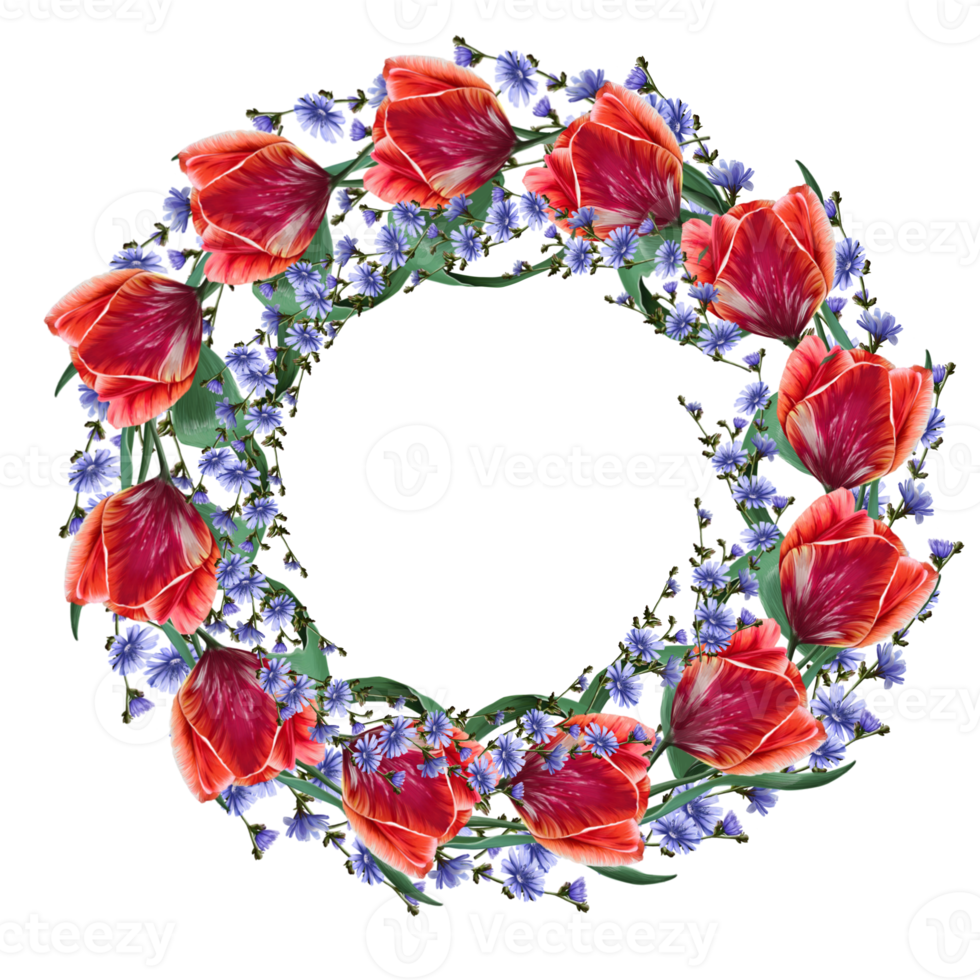 red tulip and chicory frame illustration png