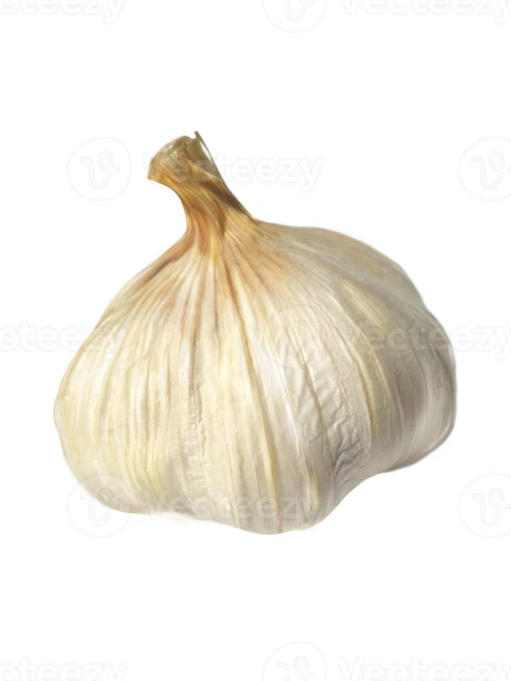 head of garlic, spices 17207162 PNG
