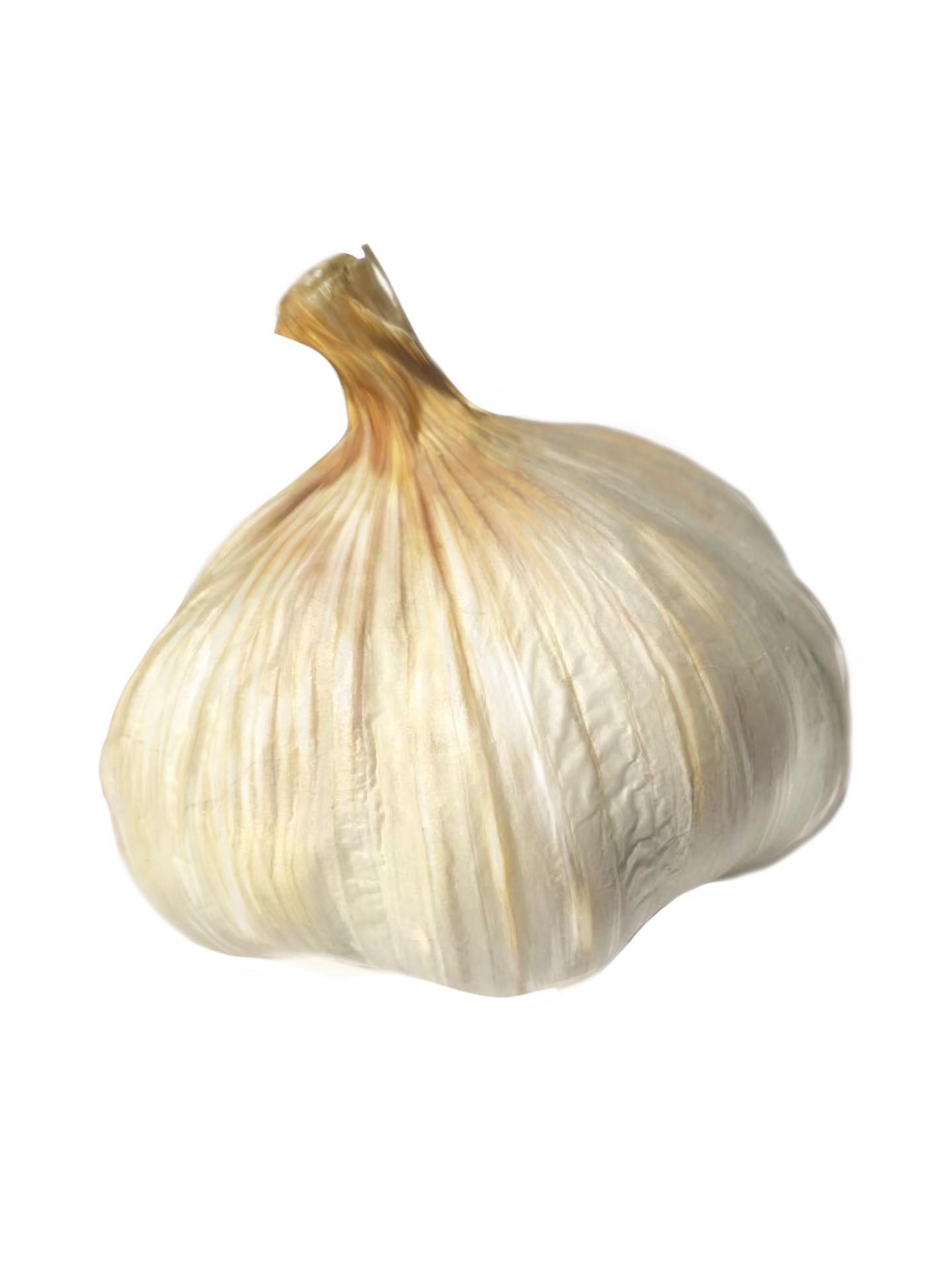head of garlic, spices 17207162 PNG
