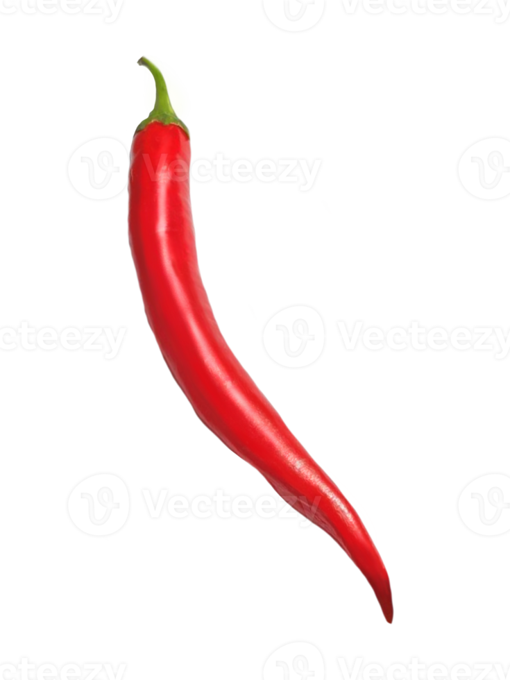 red hot chili pepper isolated on png