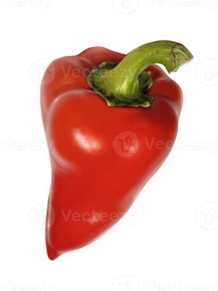 one red bell pepper isolated png