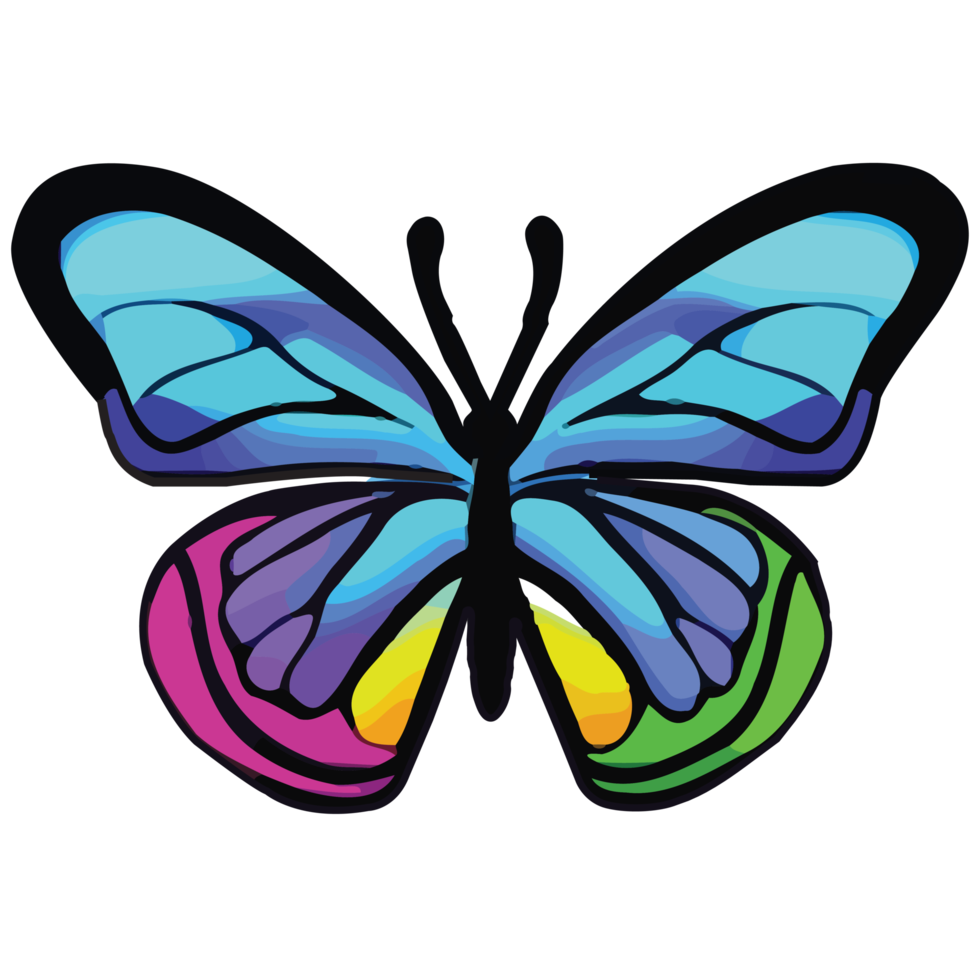 Colourful Butterfly PNG image with transparent background