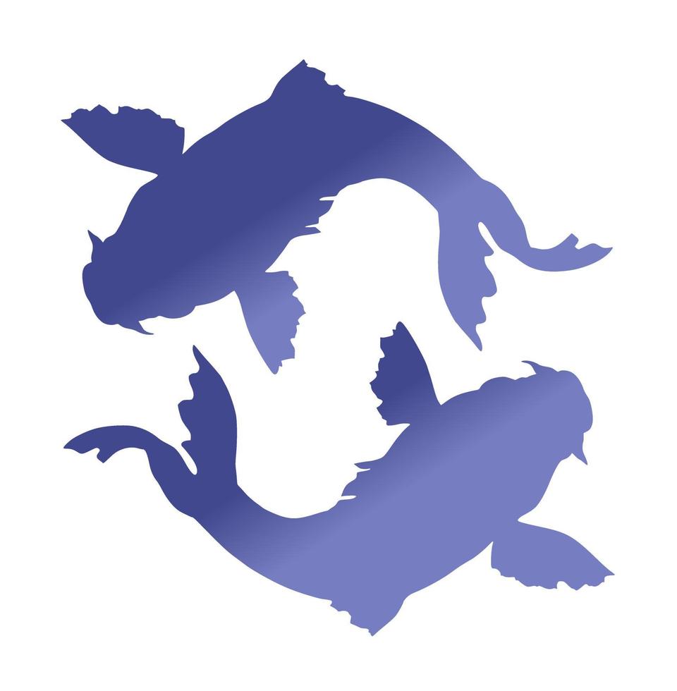 Silhouettes of two koi fish swim circling in the pond vector