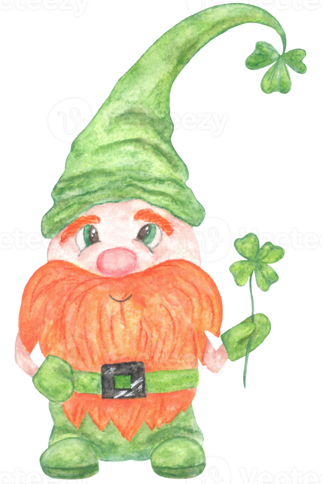 Watercolor traditional leprechaun gnome with red beard and wearing green clothes and gloves with clover for St. Patrick's Day.  Patric clover leaf png