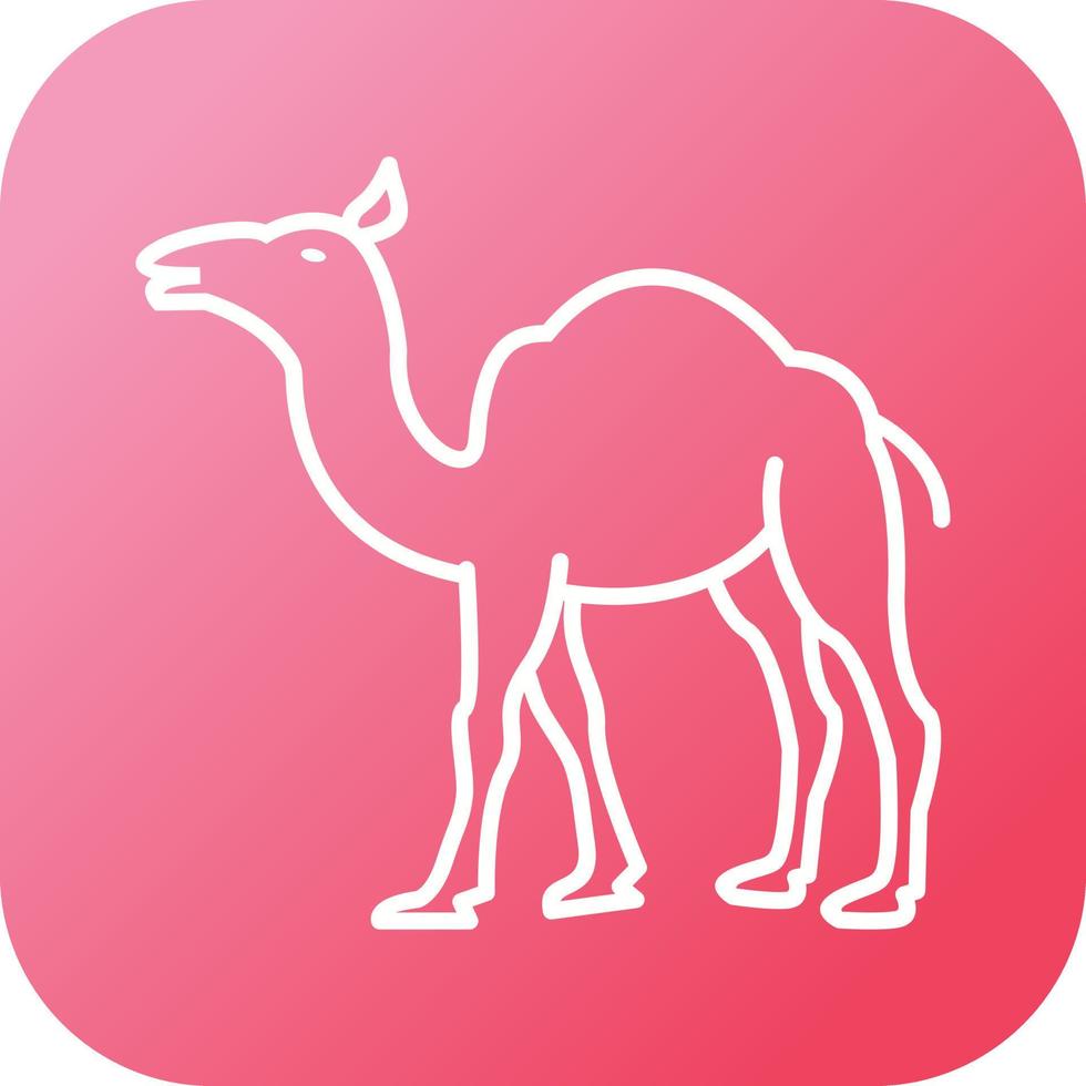 Beautiful Camel Line Vector Icon