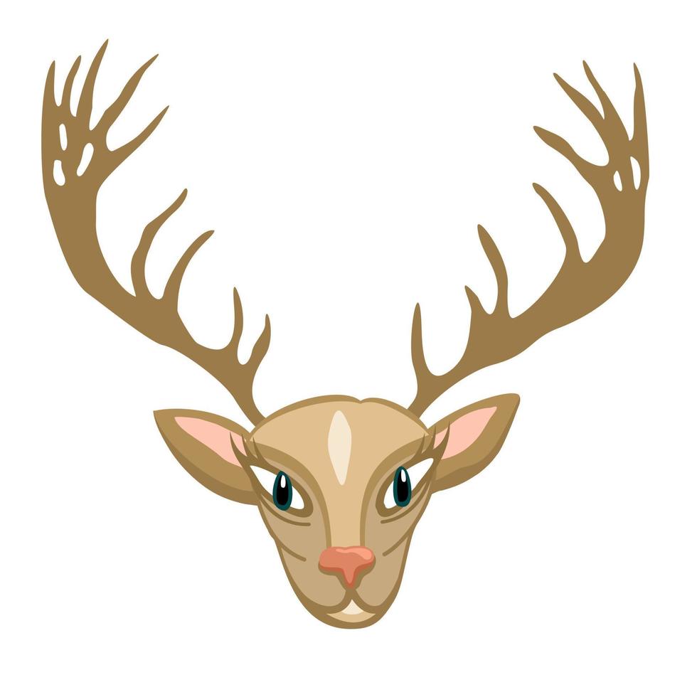 ilustración vectorial aislada de cabeza de ciervo. vector
