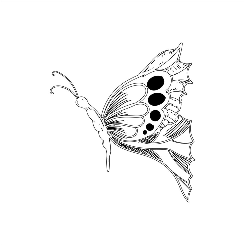 Butterfly set graphic black white isolated sketch illustration vector. Modern seamless pattern of monarch butterfly contours on white background for decoration design. Closeup design element. vector