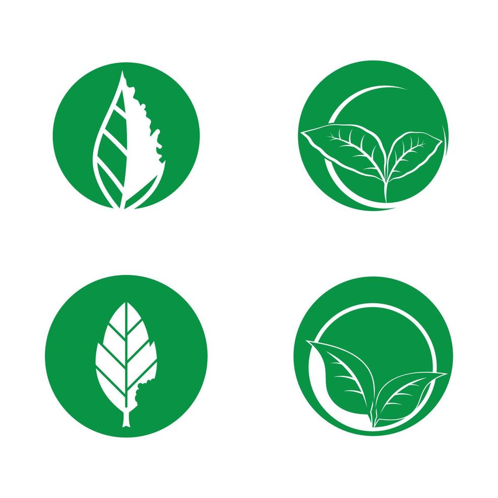 leaf vector illustration design icon logo