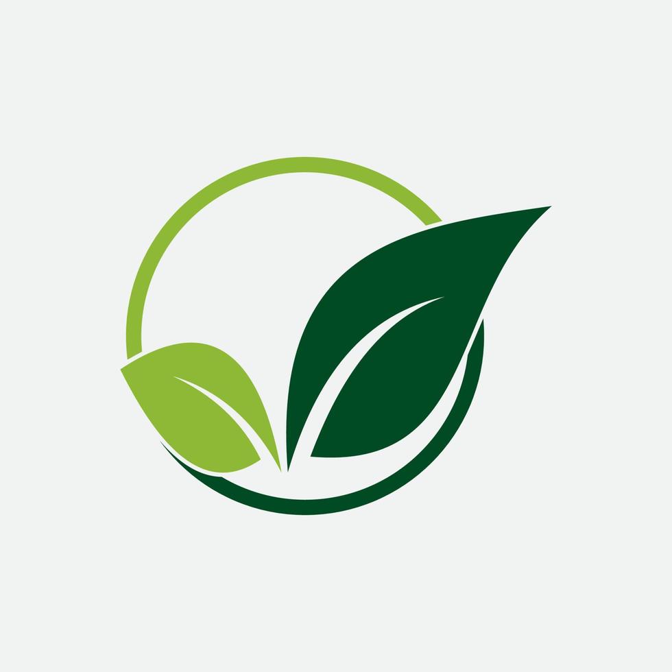 leaf vector illustration design icon logo