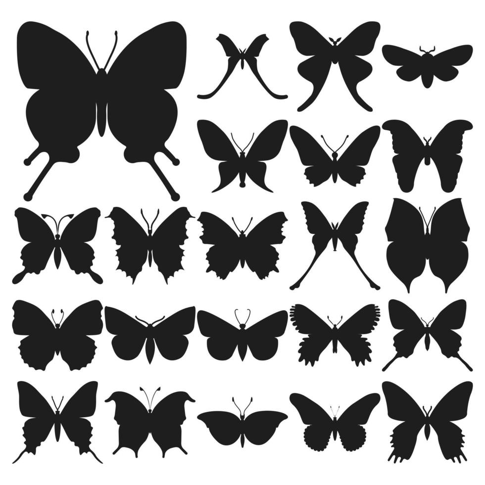 Big set butterflies on a white background, drawing decorative insect, silhouettes hand draw, isolated vector