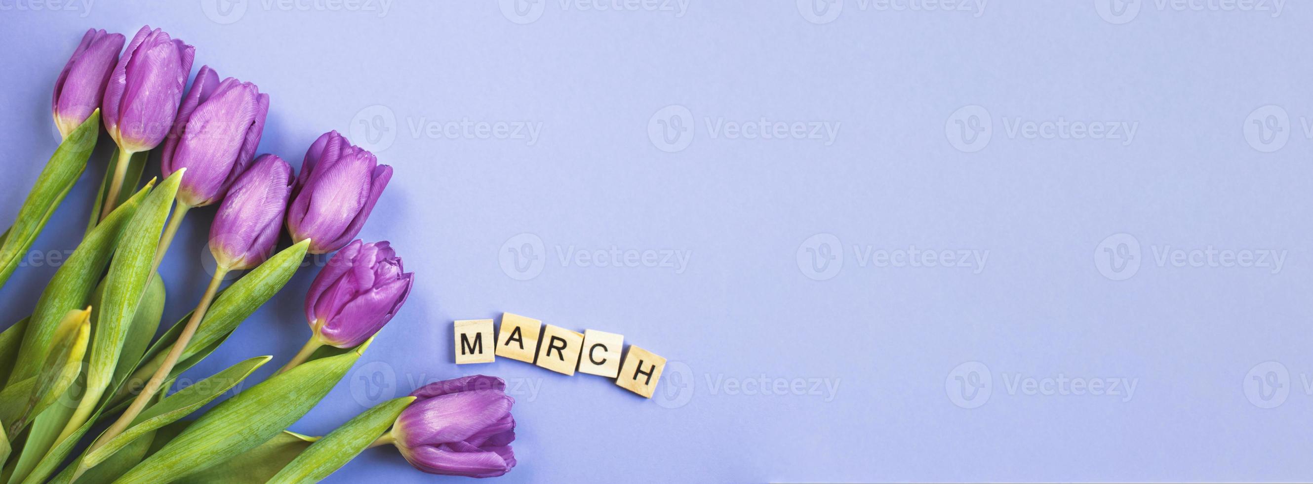Purple bouquet of flowers tulips background with with the word march on veri peri background. photo