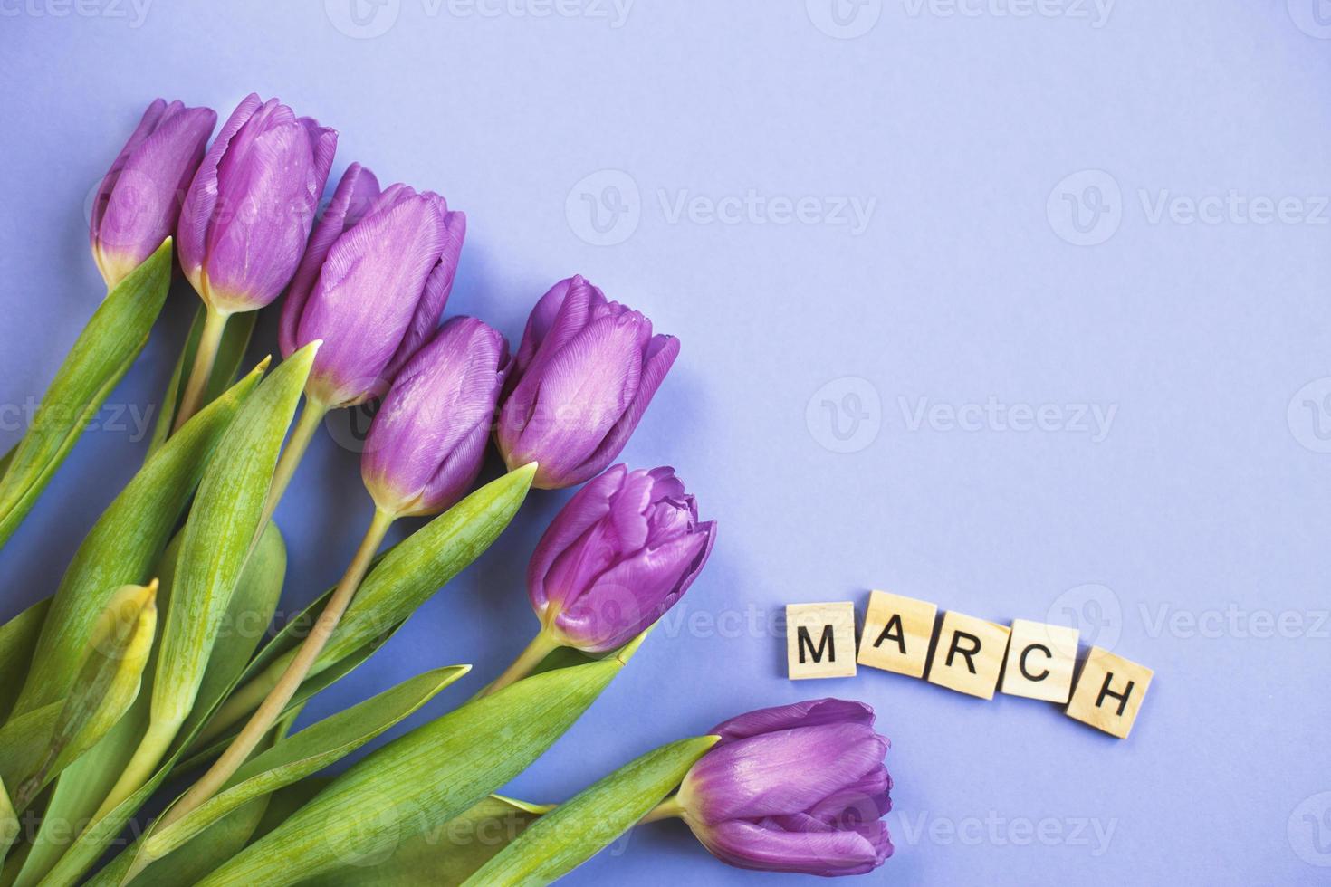 Purple bouquet of flowers tulips background with with the word march on veri peri background. photo