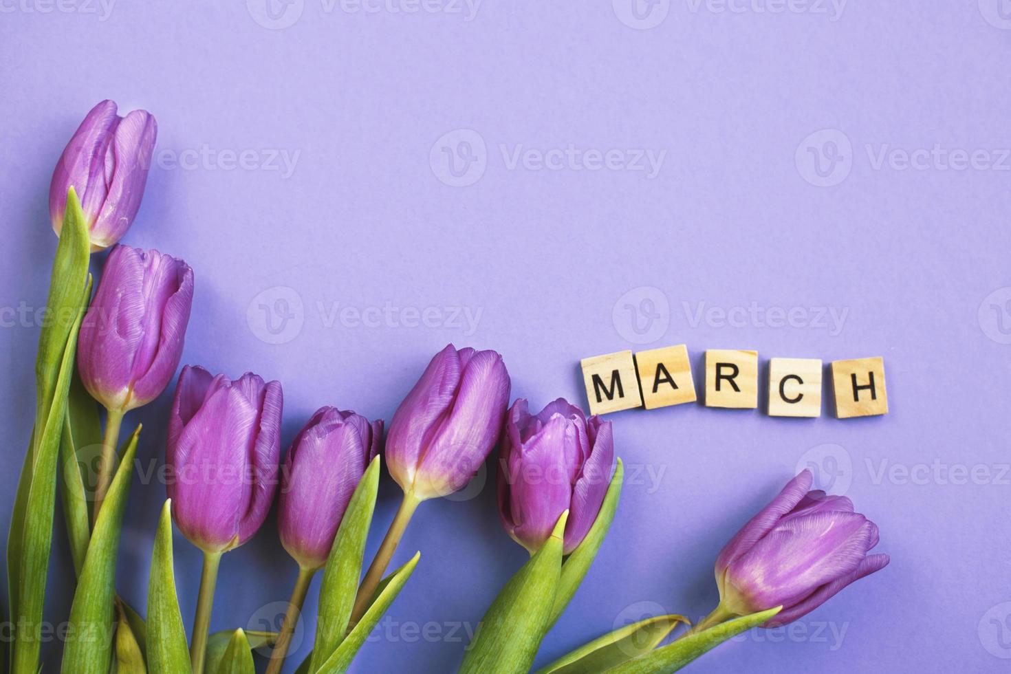ramo púrpura de flores fondo de tulipanes con la palabra marcha sobre fondo veri peri. foto